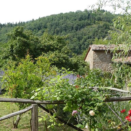 Il Capriolo Villa San Cerbone Bagian luar foto