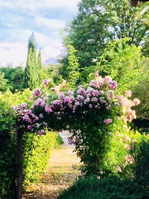 Il Capriolo Villa San Cerbone Bagian luar foto