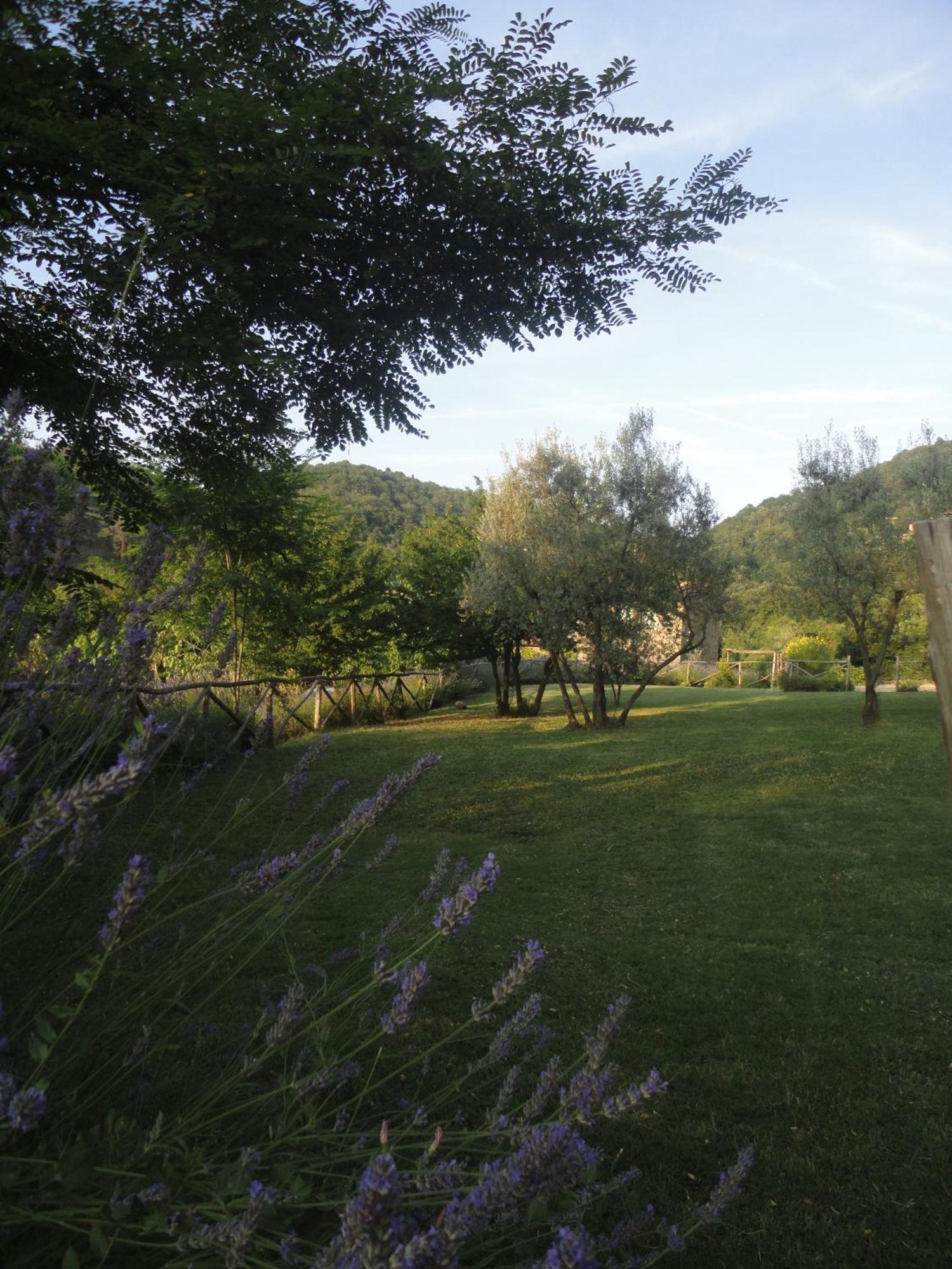 Il Capriolo Villa San Cerbone Bagian luar foto