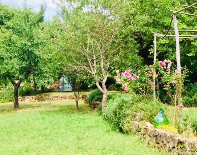 Il Capriolo Villa San Cerbone Bagian luar foto