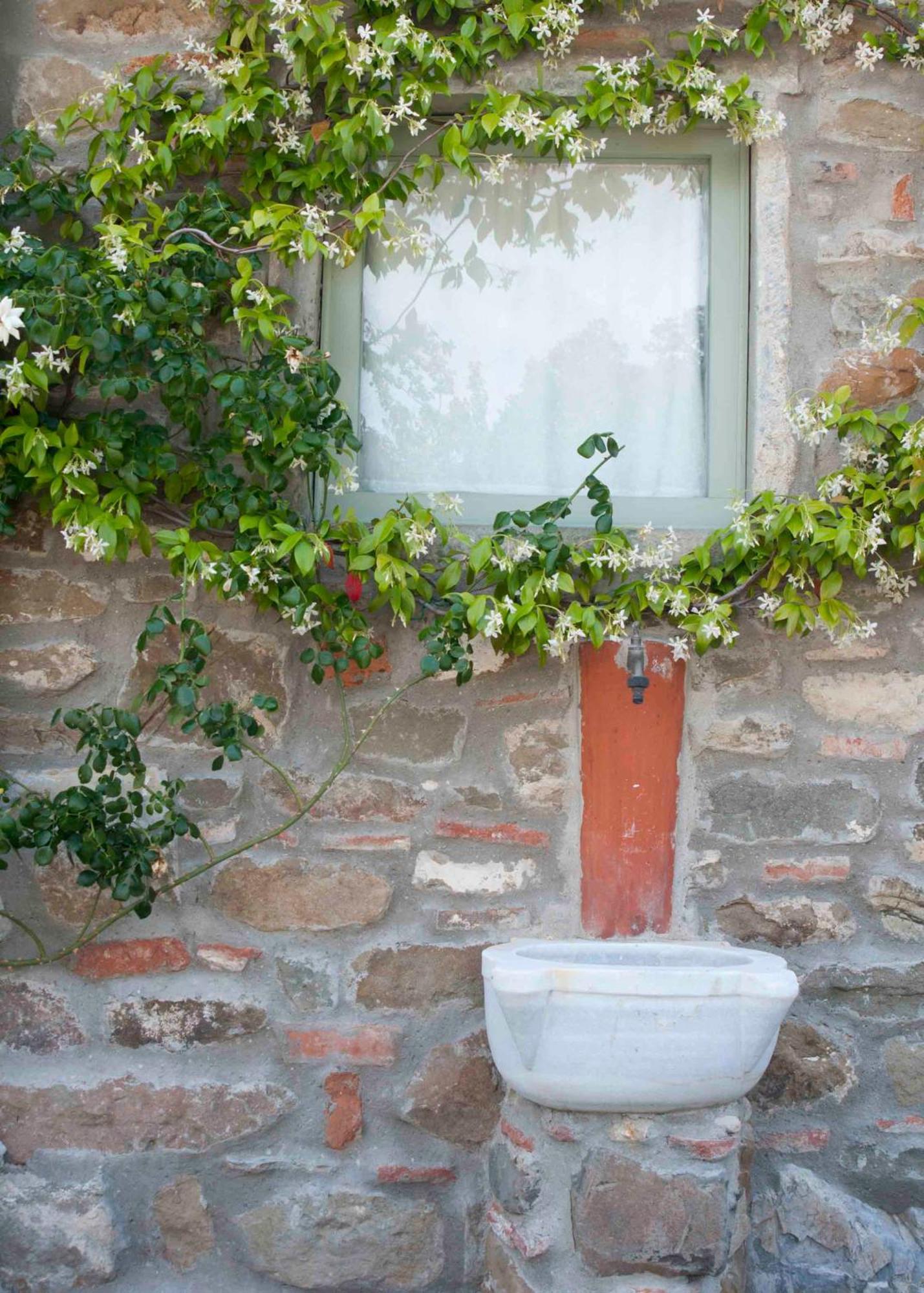 Il Capriolo Villa San Cerbone Bagian luar foto