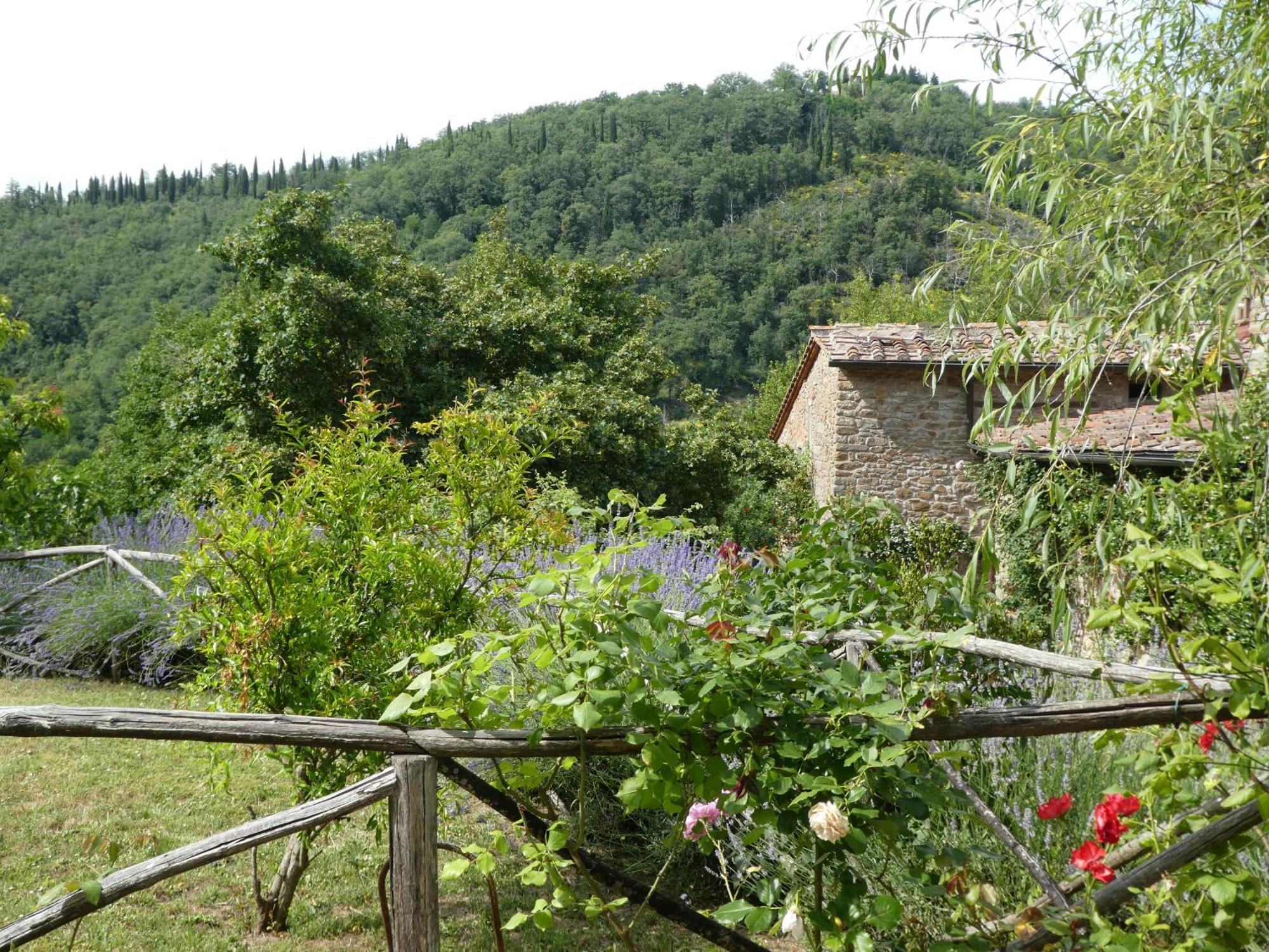 Il Capriolo Villa San Cerbone Bagian luar foto