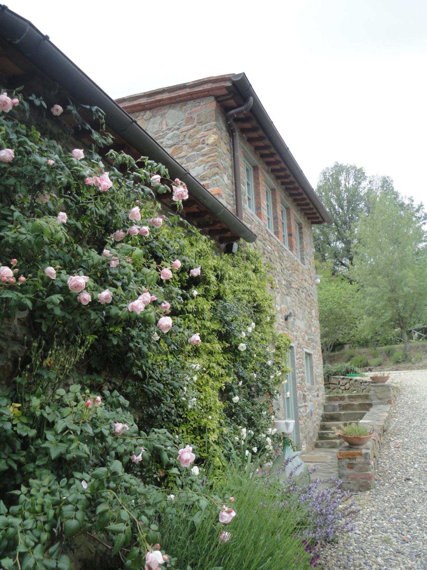 Il Capriolo Villa San Cerbone Bagian luar foto