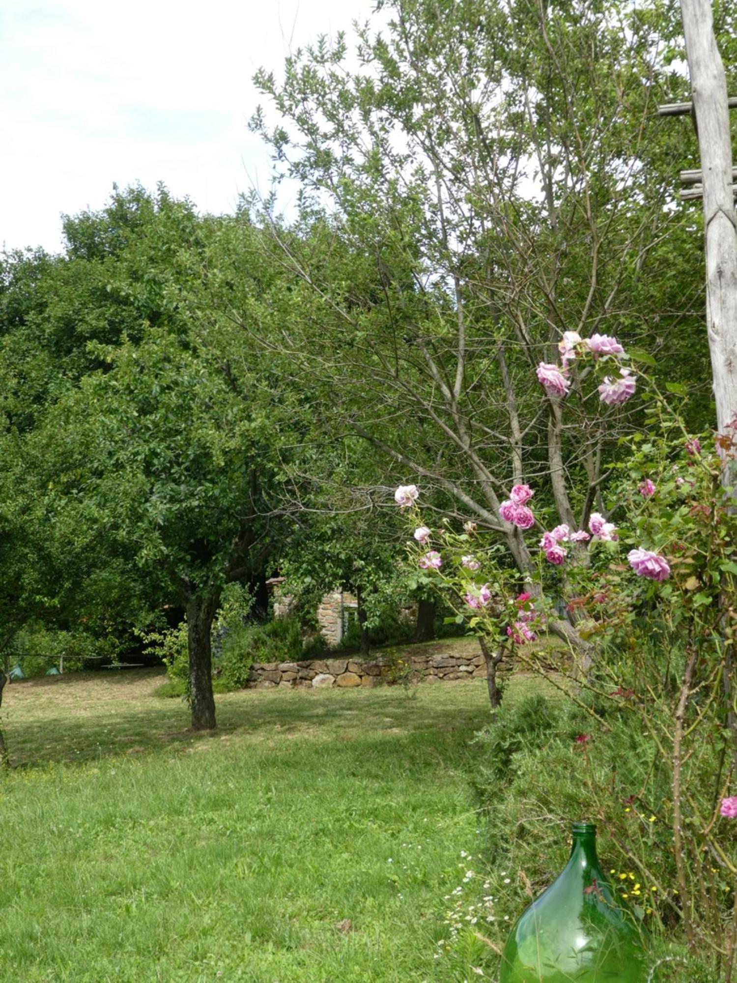 Il Capriolo Villa San Cerbone Bagian luar foto